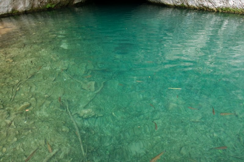 Plitvicka jezera - 13. (Foto: CC/Flickr.com | Grant Bishop)