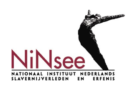 Logo NiNsee