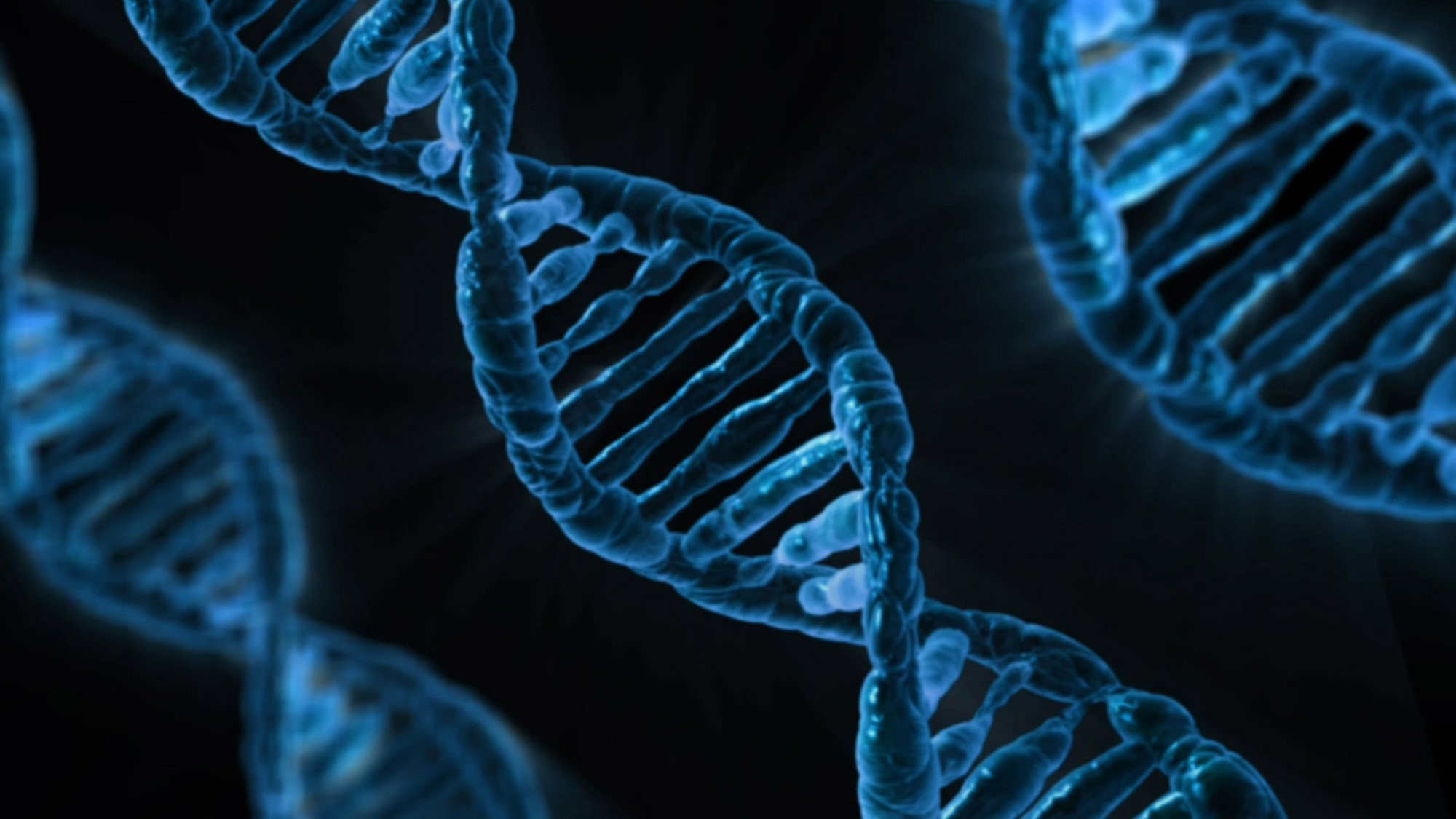Een foto van DNA. Dankzij technologische ontwikkelingen kan de mens steeds meer ingrijpen in het menselijk leven en genetisch materiaal manipuleren. (foto: PublicDomainPictures | Pixabay)