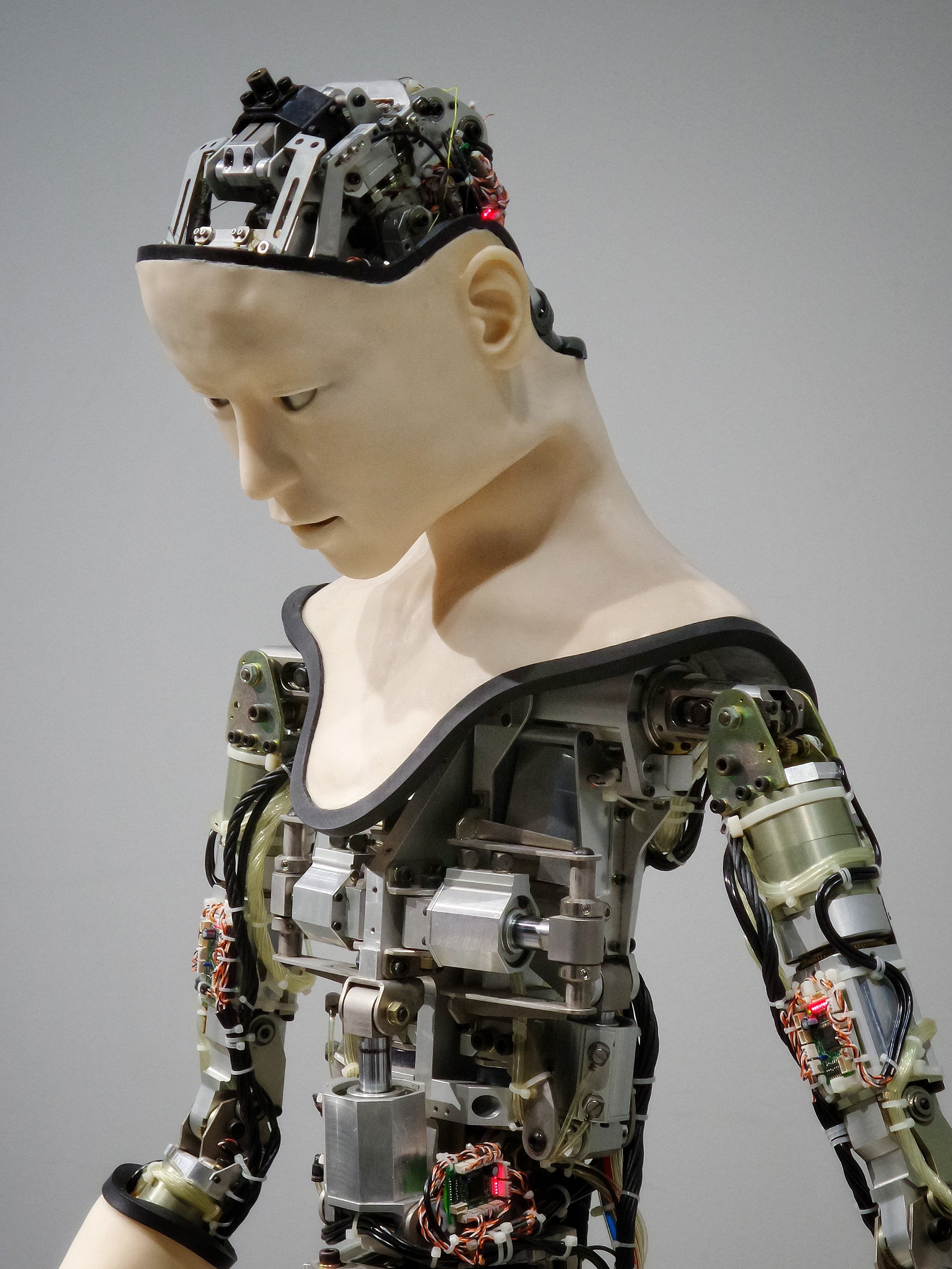 Robots worden steeds geavanceerder. (Foto: franckinjapan | Unsplash.com)