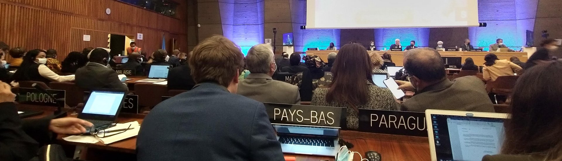 De behandeling van de Aanbevelingen bij Unesco in Parijs.