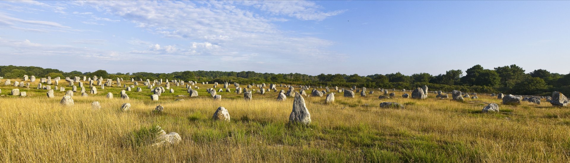 Megalieten van Carnac en van de kusten van Morbihan