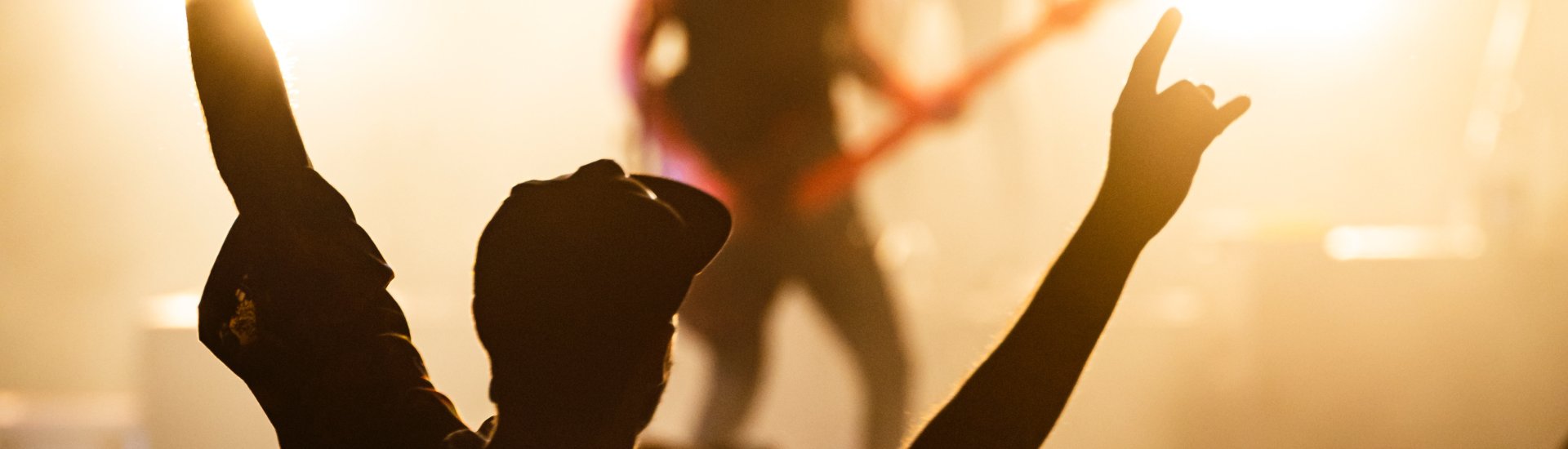 Enthousiast publiek tijdens een concert.