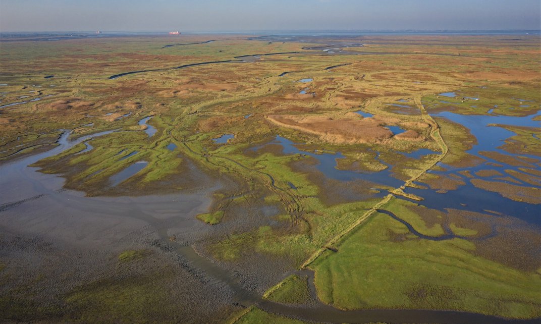 Het Verdronken Land van Saeftinghe