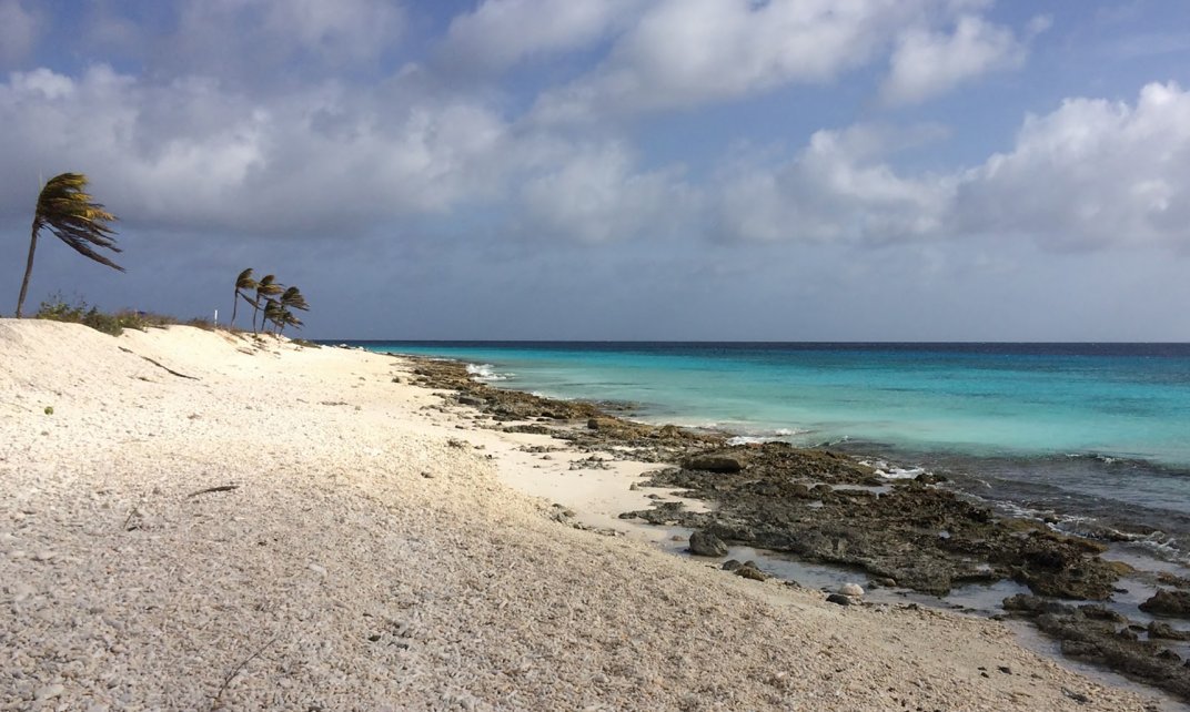 Koraalstrand op Bonaire.
