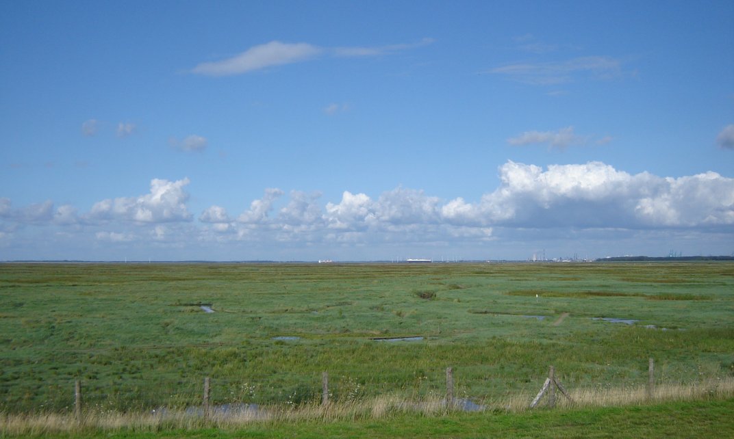 Verdronken Land van Saeftinghe, gezien vanaf de dijk ter hoogte van Emmadorp.