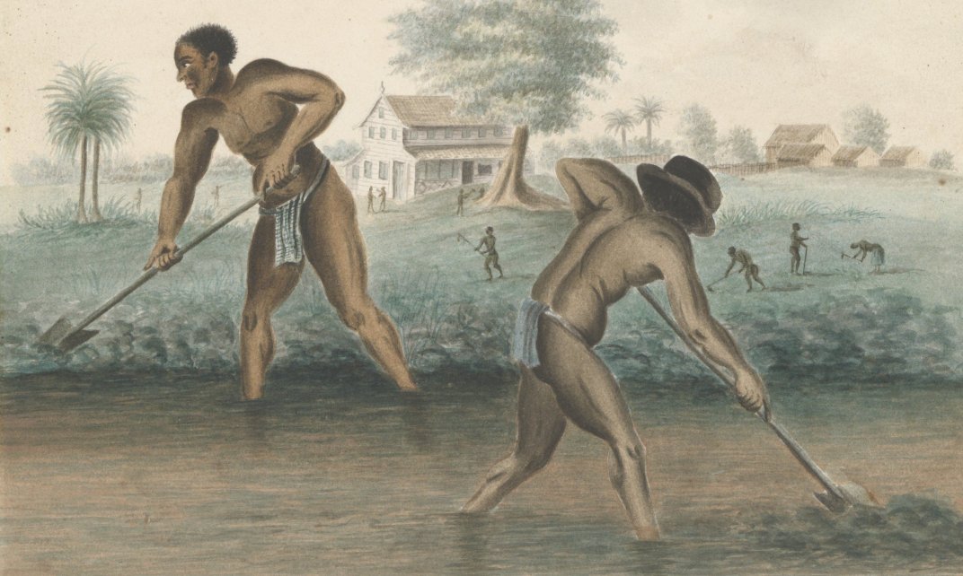 Een aquarel van tot slaaf gemaakte mannen die werken op het land