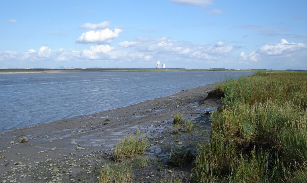 Speelmansgat in het Verdronken Land van Saeftinghe