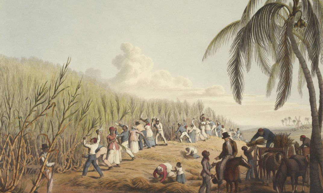 Illustratie van tot slaaf gemaakten, die aan het werk zijn op een suikerrietplantage in de Cariben. 