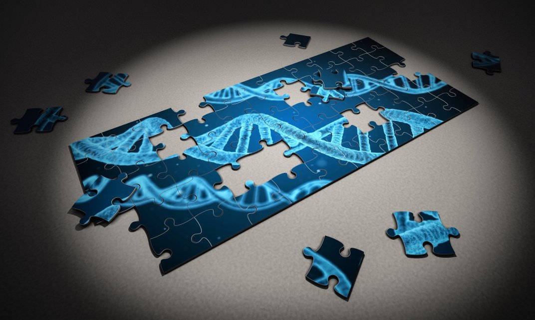 Legpuzzel van afbeelding van DNA. (Foto: Arek Socha | CC/Pixabay.org)