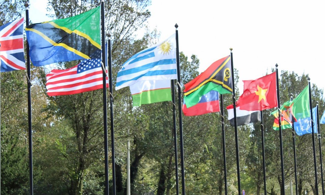 Vlaggen van diverse landen wapperen in de wind.