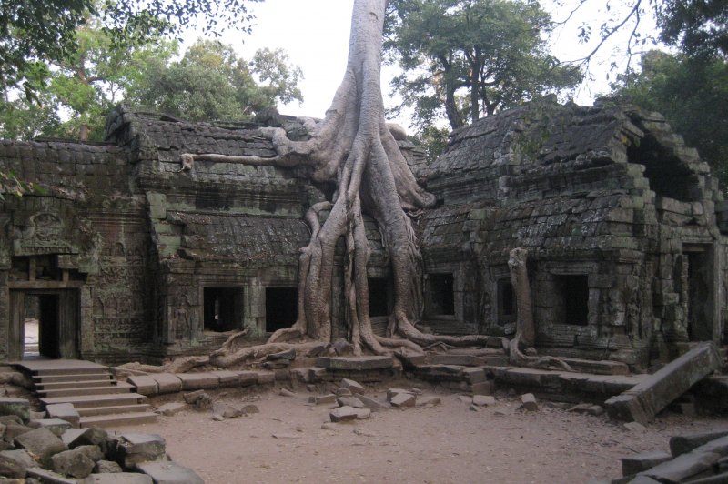 Angkor, Ta Prohm. (Foto: CC/Flickr.com | Arian Zwegers)