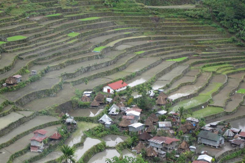 Batad Rice Terraces. (Foto: CC/Flickr.com | kin0be)