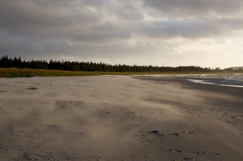 Blowing sand at Shallow Bay. (Foto: CC/Flickr.com | Matt MacGillivray)