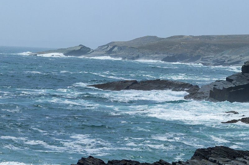 Cape Spear and Mistaken Point 18. (Foto: CC/Flickr.com | Zach Bonnell)