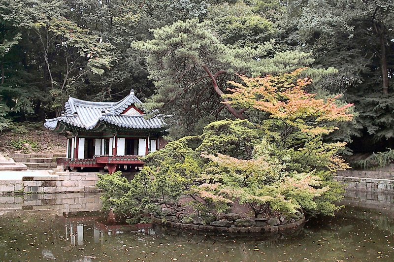 Changdeokgung Palace. (Foto: CC/Flickr.com | James Sullivan)