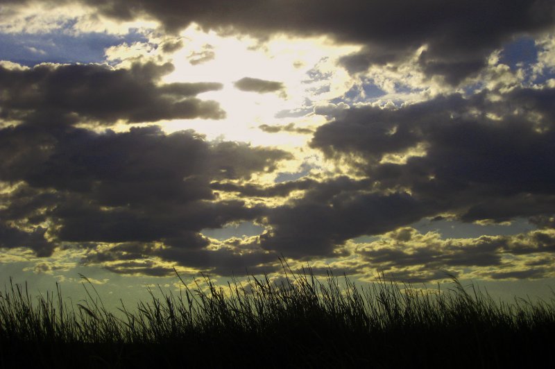 Dauria. Grass clouds. (Foto: CC/Flickr.com | Andrei Zverev)