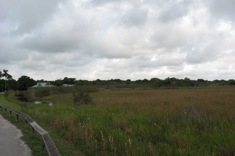 Everglades National Park Grasscape. (Foto: CC/Flickr.com | Brian Henderson)