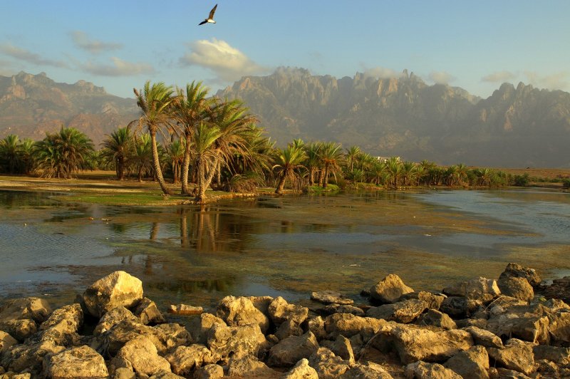 Far Away Socotra Island, Yemen. (Foto: CC/Flickr.com | Martin Sojka)