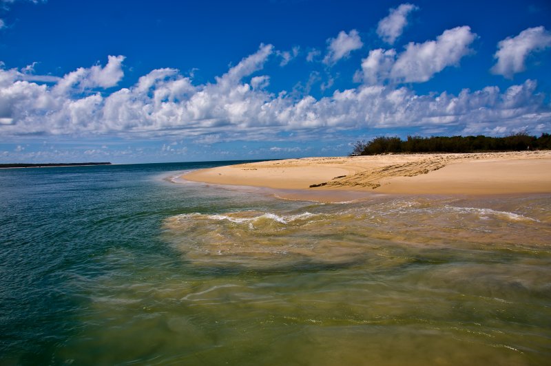 Fraser Island 0057. (Foto: CC/Flickr.com | Michael Dawes)