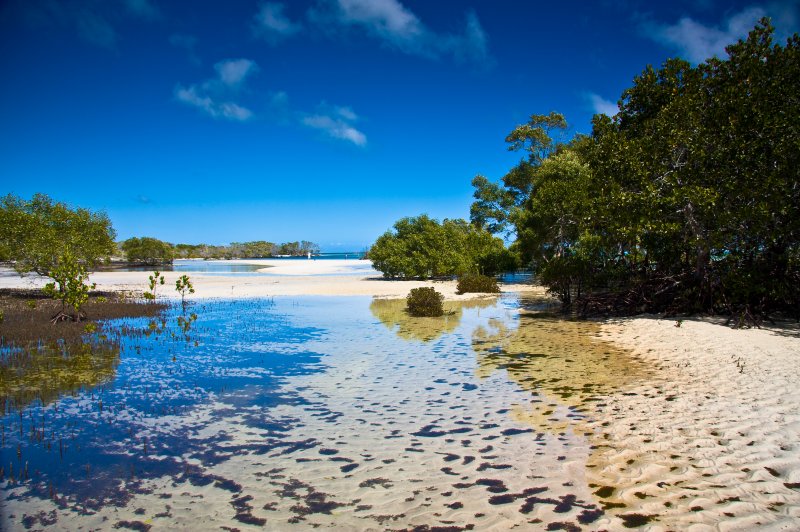 Fraser Island 0519. (Foto: CC/Flickr.com | Michael Dawes)