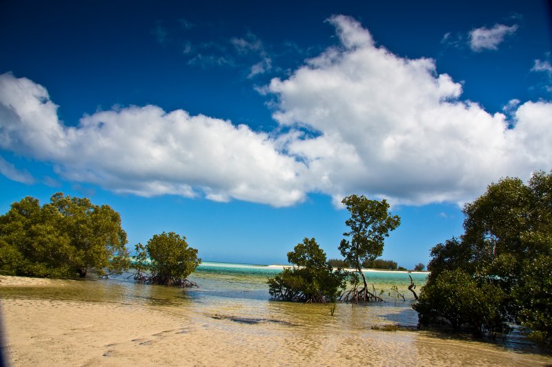 Fraser Island 0528. (Foto: CC/Flickr.com | Michael Dawes)
