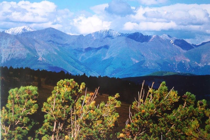 Golden Mountains of Altai. (Foto: CC/Flickr.com | erelven)