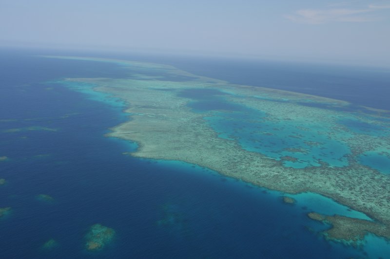 Great Barrier Reef. (Foto: CC/Flickr.com | Dai Fujihara)