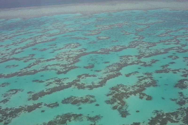 Great Barrier Reef, Australia. (Foto: CC/Flickr.com | eutrophication&hypoxia)