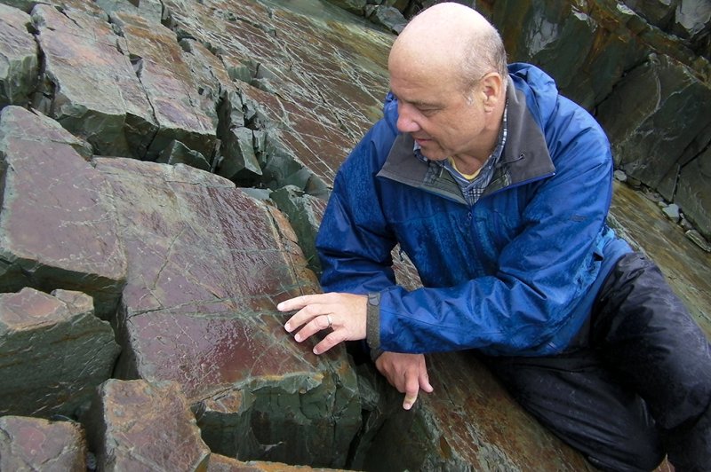 Guy Narbonne is a paleontologist at Queen s University in Ontario.Here he s inspecting a fossil of the oldest and largest multi-cellular animal on Earth.The Mistaken Point Ecological Reserve is filled with half a billion-year-old treasures like this one.. (Foto: CC/Flickr.com | EOL Learning and Education Group)