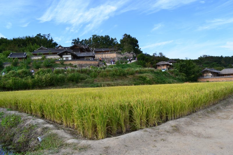 Gyeongju Yangdong Village. (Foto: CC/Flickr.com | Rowan Peter)
