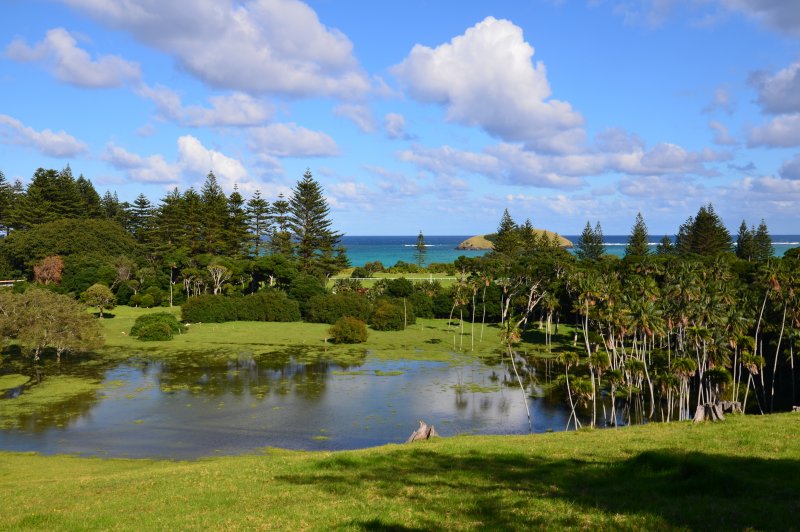 Kentia palms and Norfolk Island pines to the Lagoon. (Foto: CC/Flickr.com | Natalie Tapson)