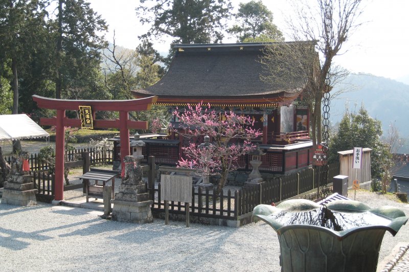 Kimpusen-ji. (Foto: CC/Flickr.com | Bill McIntyre)
