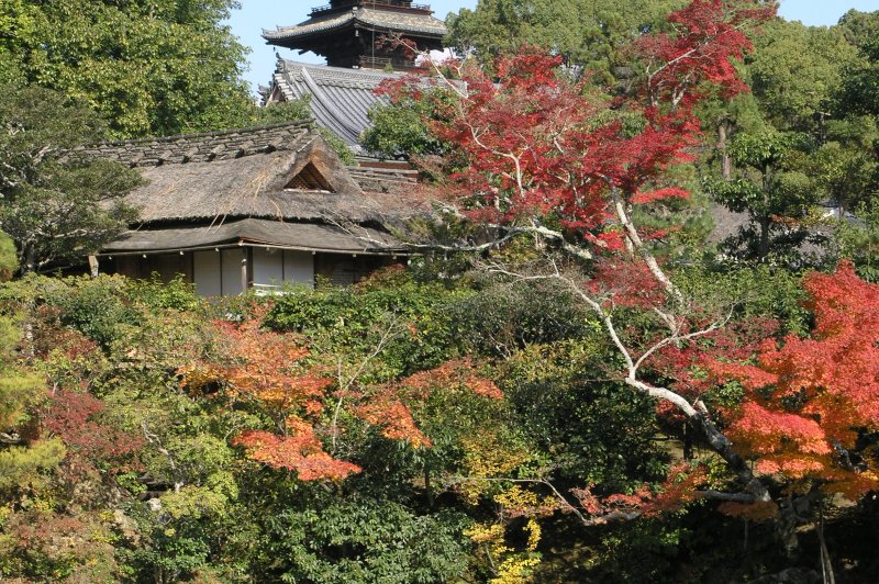 Kyoto, Japan Ninna-ji. (Foto: CC/Flickr.com | Darren)
