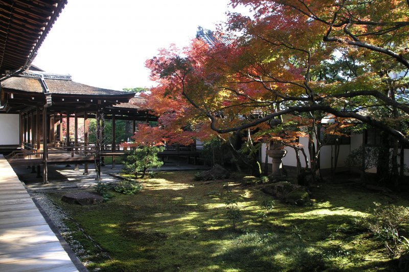 Kyoto, Japan Ninna-ji Garden. (Foto: CC/Flickr.com | Darren)