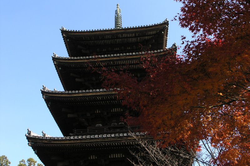 Kyoto, Japan Ninna-ji Pagoda. (Foto: CC/Flickr.com | Darren)