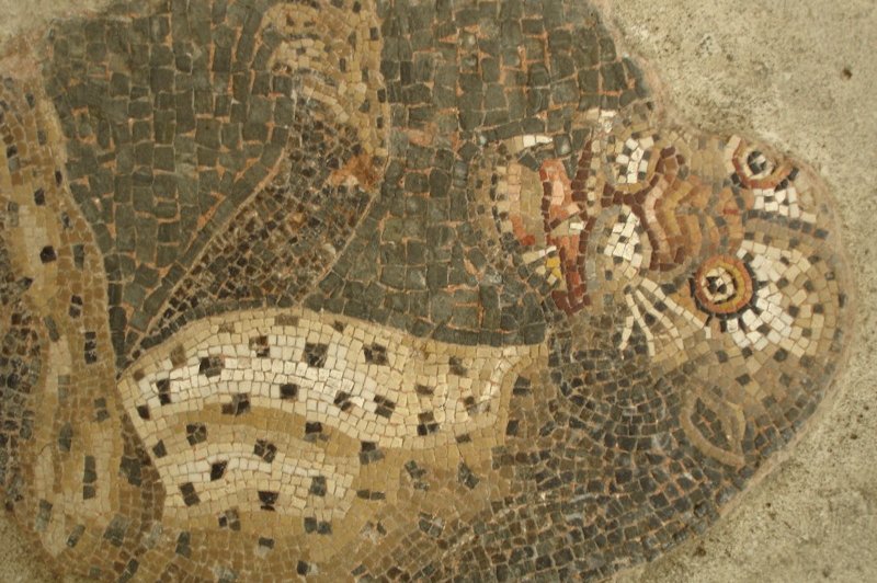 leopard mosaic. (Foto: CC/Flickr.com | Zoe52)