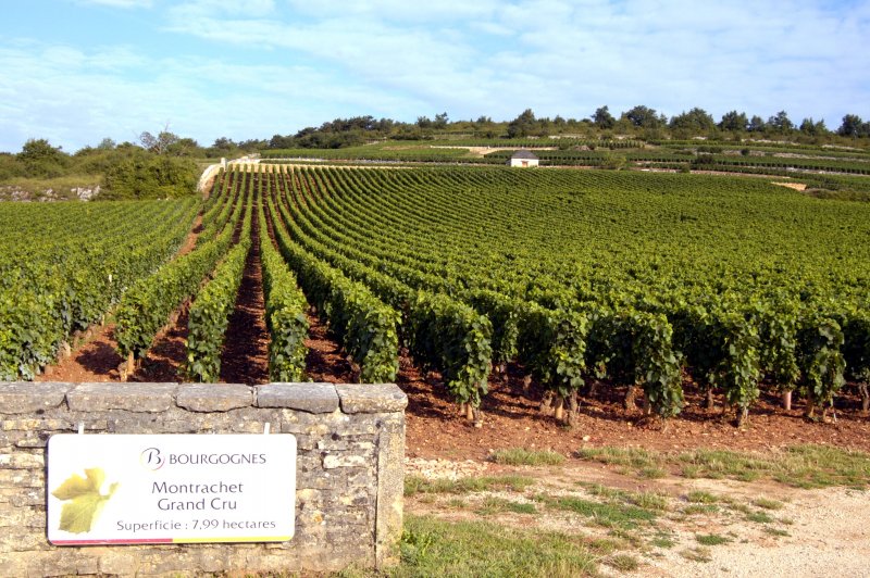  Les Climats du Vignoble de Bourgogne - UNESCO World Heritage. (Foto: CC/Flickr.com | LauterGold)