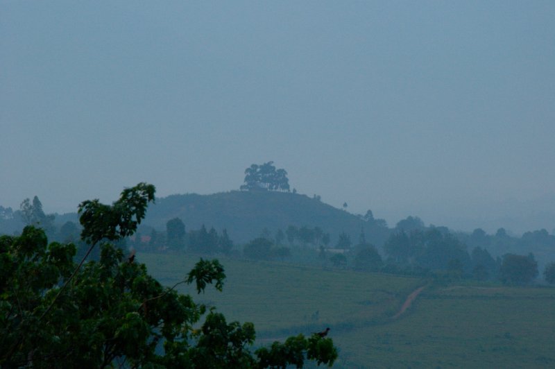 Looking at the Rwenzori Mountains. (Foto: CC/Flickr.com | flöschen)