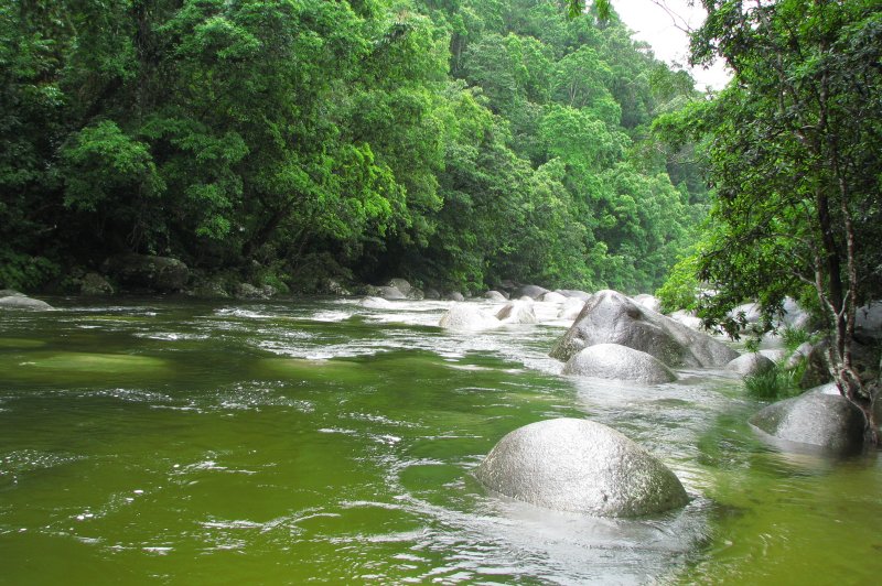 Mossman River during the rainy season. (Foto: CC/Flickr.com | tanetahi)