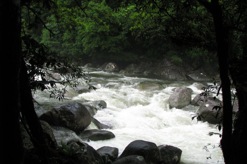 Mossman River during the rainy season. (Foto: CC/Flickr.com | tanetahi)