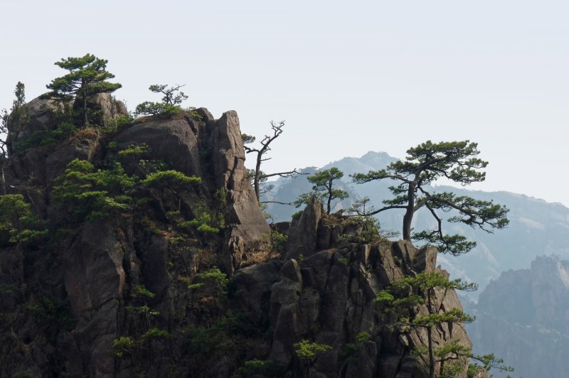 Mount Huangshan. (Foto: CC/Flickr.com | jcdl.)