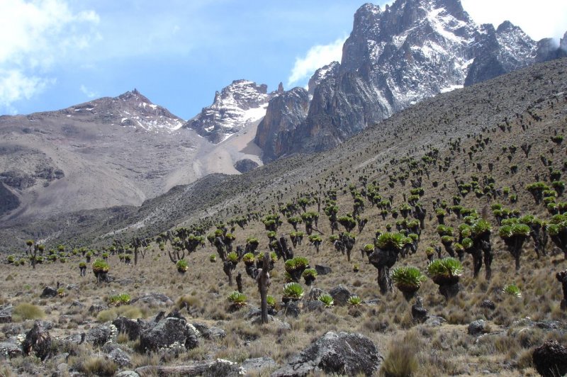 Mount Kenya Trek - Kenya, Africa - March 2009. (Foto: CC/Flickr.com | David Hamill)