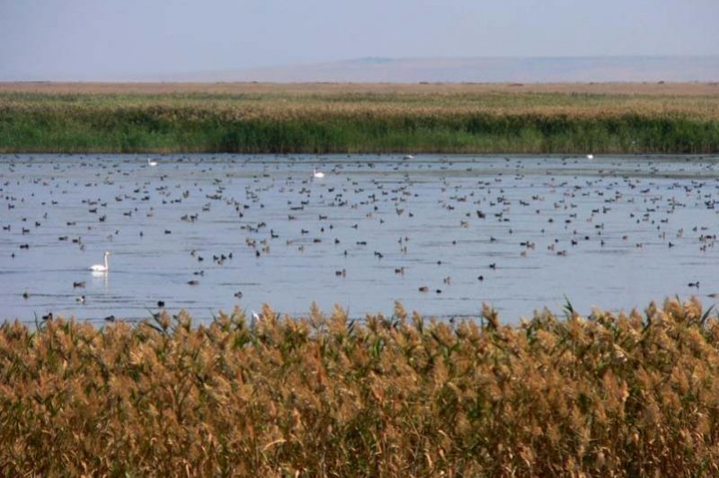 Naurzum - Zharkol Lake, Kazakhstan, Crawford Prentice.. (Foto: CC/Flickr.com | Global Environment Facility)