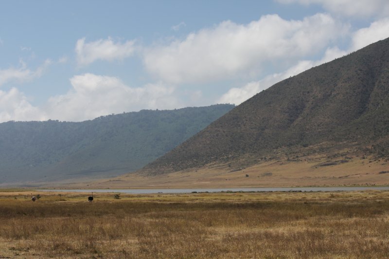Ngorongoro crater landscape. (Foto: CC/Flickr.com | Leon Berlotti)