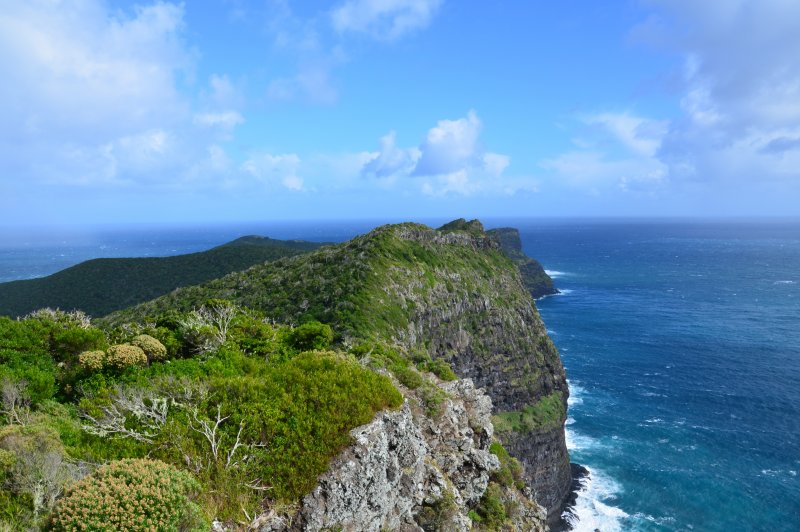 North coast of Lord Howe Island. (Foto: CC/Flickr.com | Natalie Tapson)