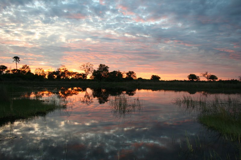 Okavango delta sunset. (Foto: CC/Flickr.com | Jon Rawlinson)