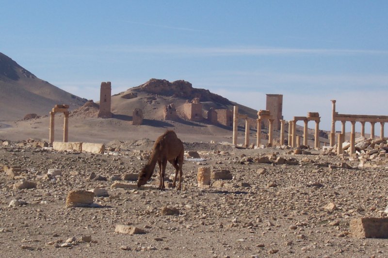 Palmyra. (Foto: CC/Flickr.com | spitz2013)