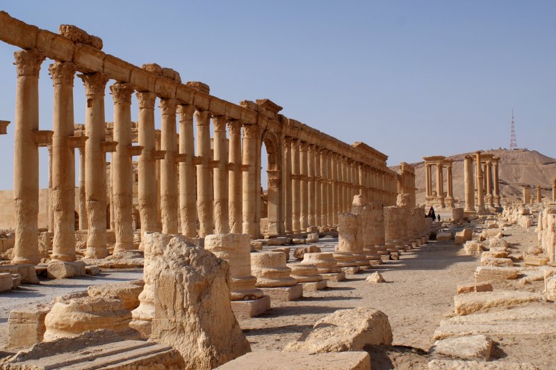 Palmyra IV. (Foto: CC/Flickr.com | James Filipi)
