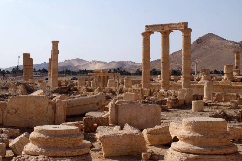 Palmyra VII. (Foto: CC/Flickr.com | James Filipi)